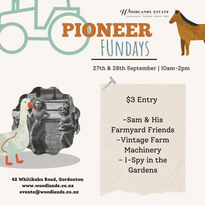 Pionner Fundays