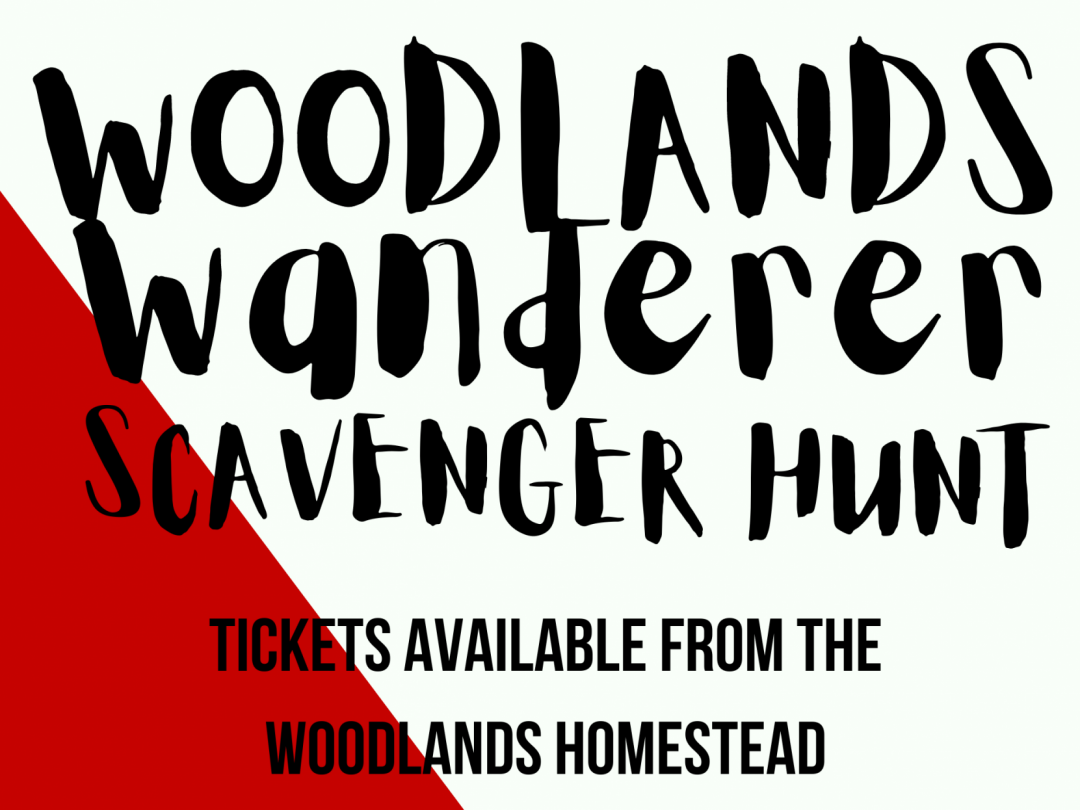 Woodlands Wanderer Scavenger Hunt